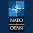 НАТО по-русски