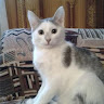 Автор
