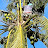 @RagingGnome Avatar