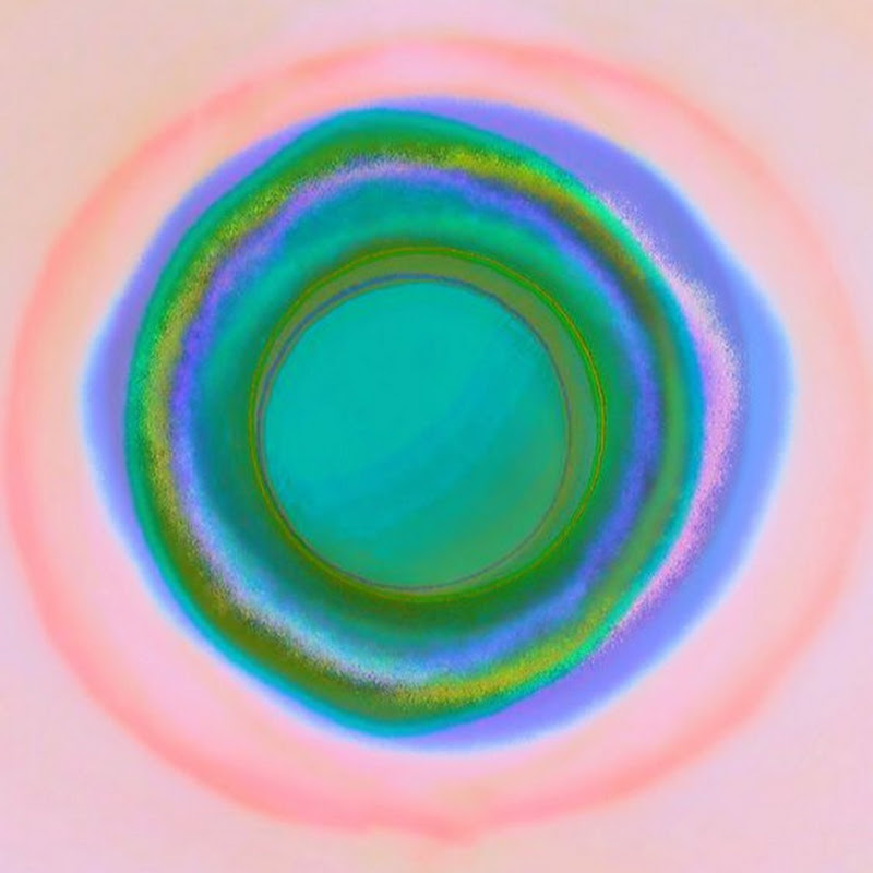 Budrose Meditation 布玫瑰冥想.光之診療室 Logo