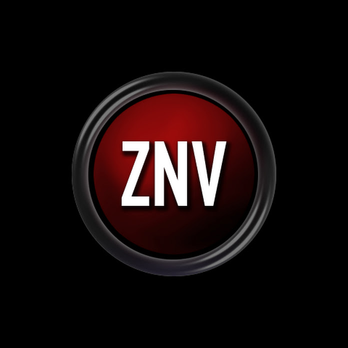 ZNVISION Net Worth & Earnings (2024)