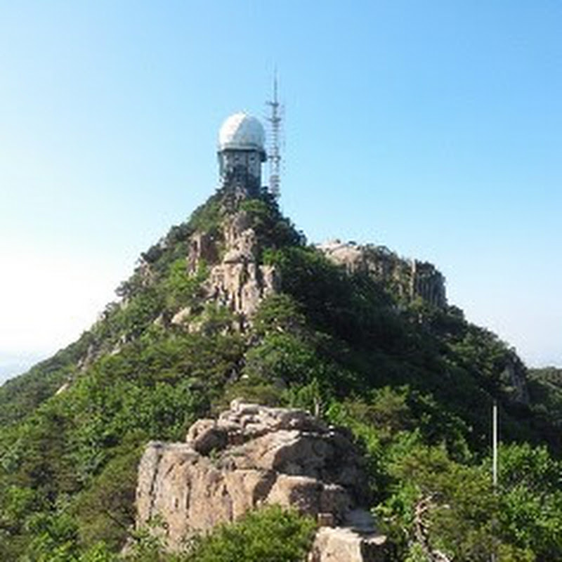 AI 탐구생활