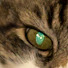 KvU91fEsAik-channel-avatar-travelstwenty 
