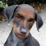 40lXG-mBxtY-channel-avatar-TipsyPhoenix