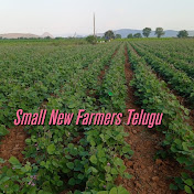 Small New Farmers TELUGU