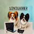 rZdd2UXqIgA-channel-avatar-SonoGamer