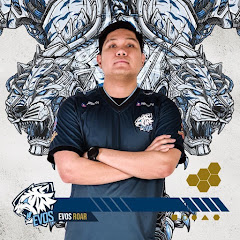 HONDA BEAST Gaming net worth