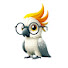 xQIuHGJmui0-channel-avatar-TravelCockatoo