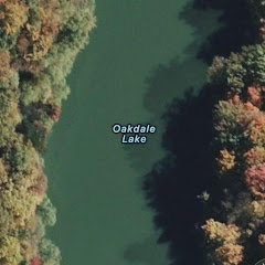 Oakdale Demons