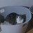 @1997지후니
