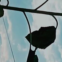 bot4