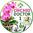 D7nzGP5vmSI-channel-avatar-Orchid Doctor 1