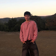 Aiden shorts