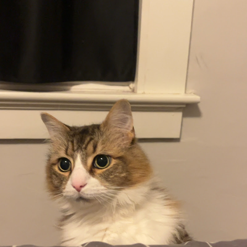 Embry