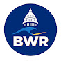 BLUE WAVE REPORT logo