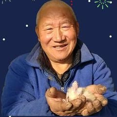 鸟大爷爷嘴硬アイコン画像