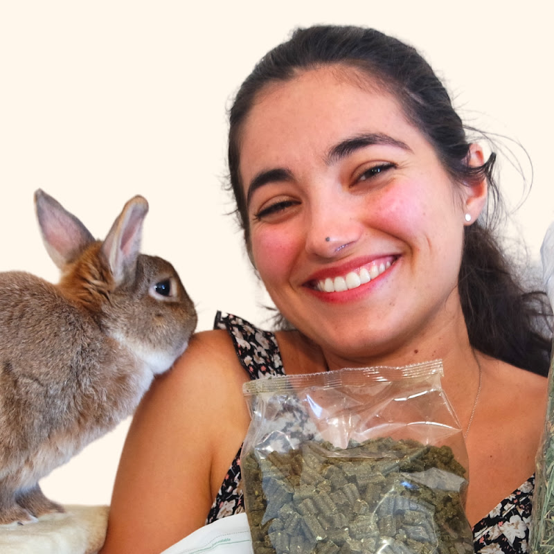 Le meilleur pour mon lapin
