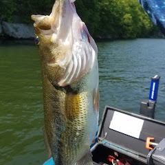 BassFishingGeek