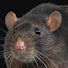vMBNI8sntqY-channel-avatar-IsNotRetro