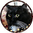 qcPam7zn19o-channel-avatar-AmyM