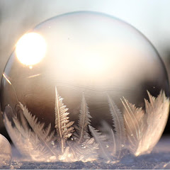 生活好物分享 🤩アイコン画像