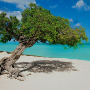 arubabeaches