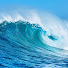 l4QMiNwkO6M-channel-avatar-Will and The Ocean