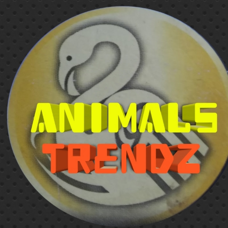 Animals Trendz 