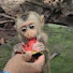 F_oJEJuJORI-channel-avatar-Monkey Kingdom