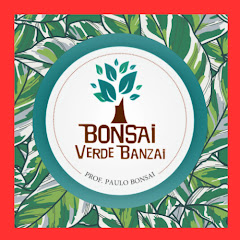 BONSAI VERDE BANZAI avatar