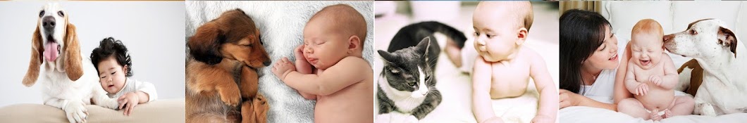 Babies & Pet TV رمز قناة اليوتيوب