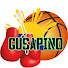 USjbGy_ha7w-channel-avatar-Gusapino 