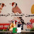 تربية الحسون الصفحة الرسمية الأخ جلال Tube