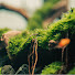 y3m3-_sSOAs-channel-avatar-Hùng Design