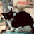 @moustafaoui_hayat