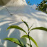 vcCc4Izba2Q-channel-avatar-Teapotsandnotebooks