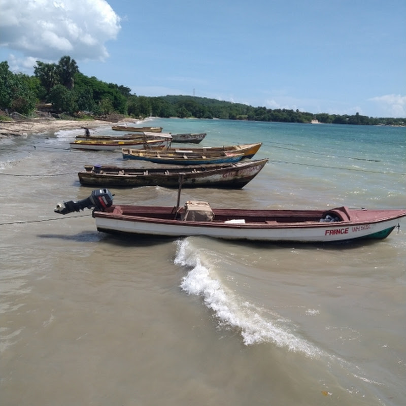 FISHING  🎣🐠 IN WHITEHOUSE JAMAICA FISHERMENTALE