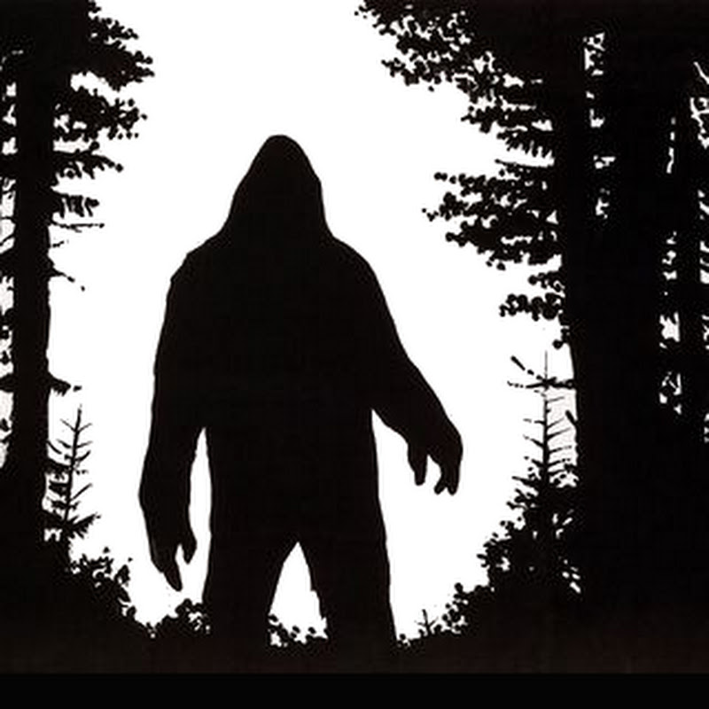 Jonathan Odom icon