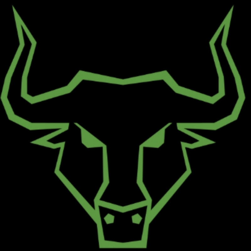 The Breakout Trader 