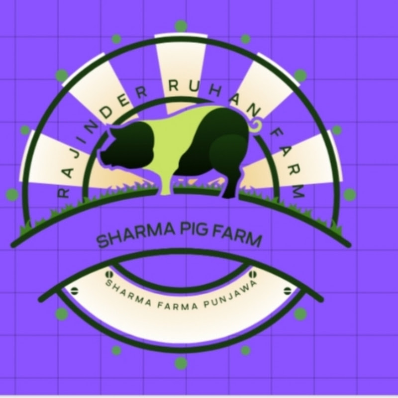 sharma_pig_Farm