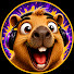 oXEhhvXSzQE-channel-avatar-CaosCast