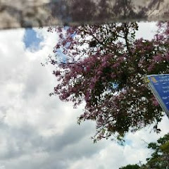 carson 生活趣事アイコン画像