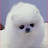 @user-wonstock777