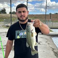 Bako Bassin 661