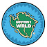 2r5cFdgeuYw-channel-avatar-DFFRNTWRLD® - The Land of Connected Culture