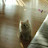 @희망-l1m