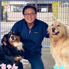 ヨコミネ式official