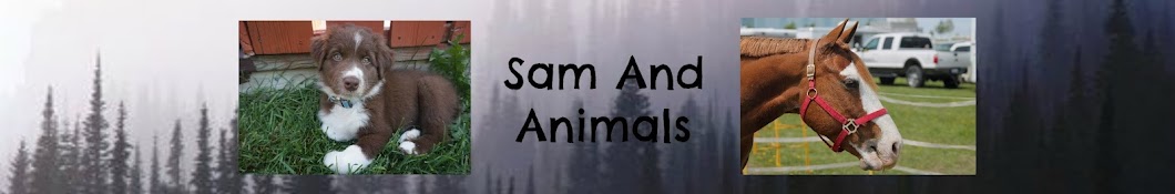 Sam Lewis and animals YouTube channel avatar