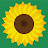@Sunflower_122