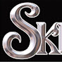 SkinInc. logo
